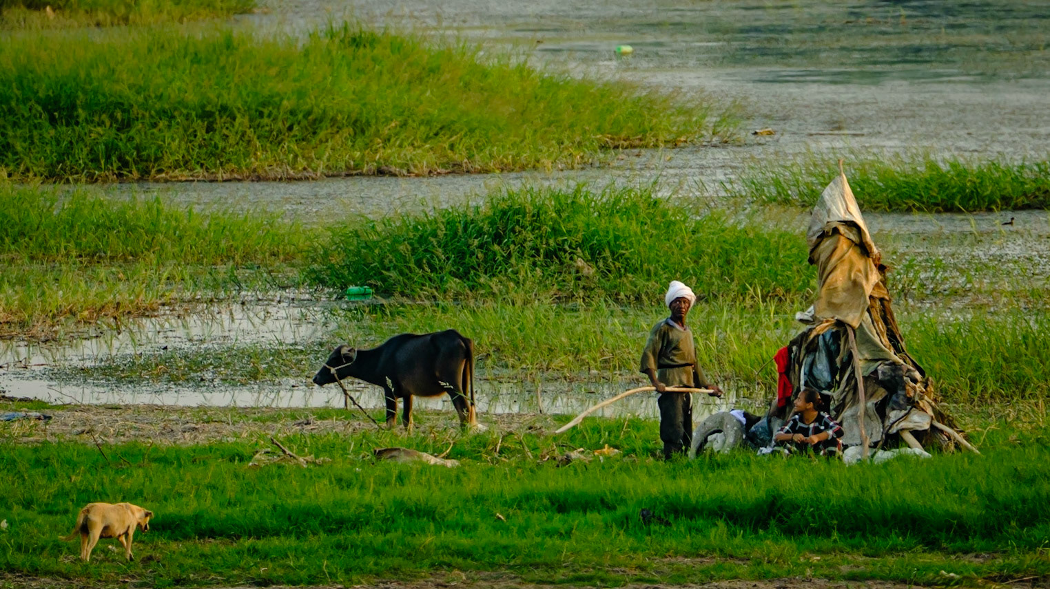 Life on the Nile River - Egypt