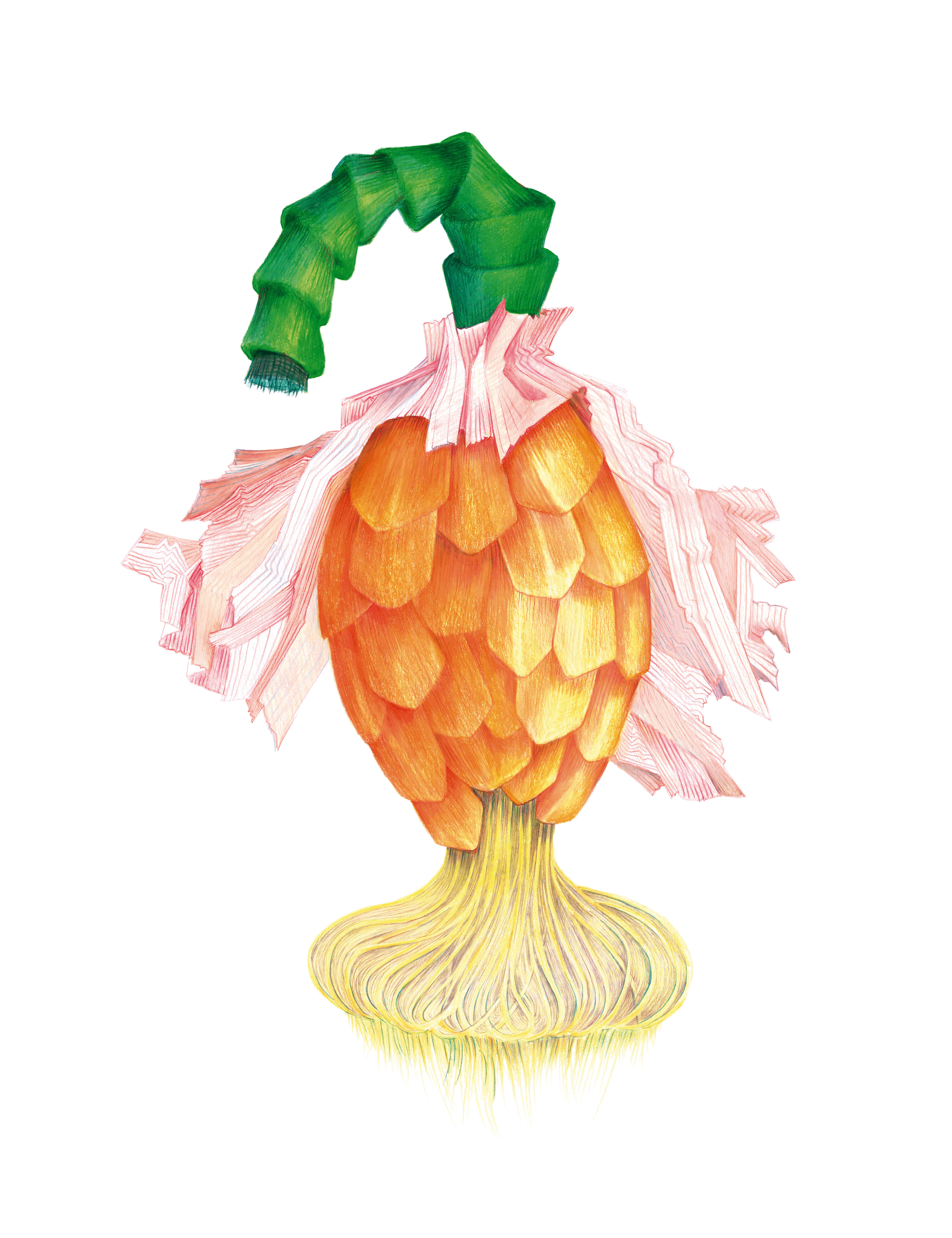 Banaan-ananas bloem | 2018