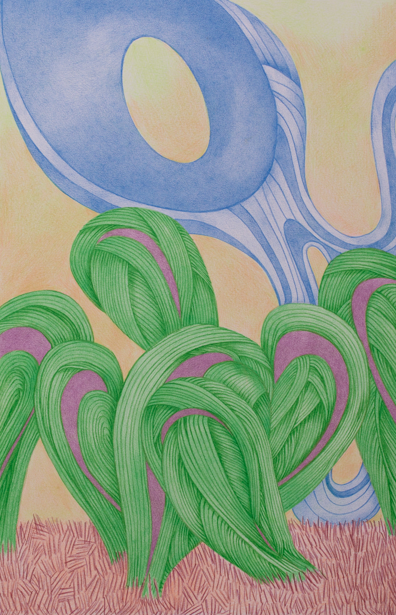 Xeno Botanica nr. 6  43 x 27,5 cm