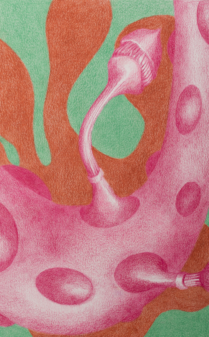 Xeno Botanica nr. 3  23,5 x 15 cm