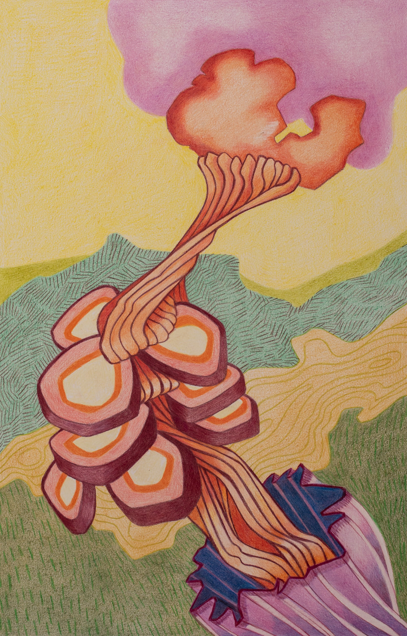 Xeno Botanica nr. 4  43 x 28cm