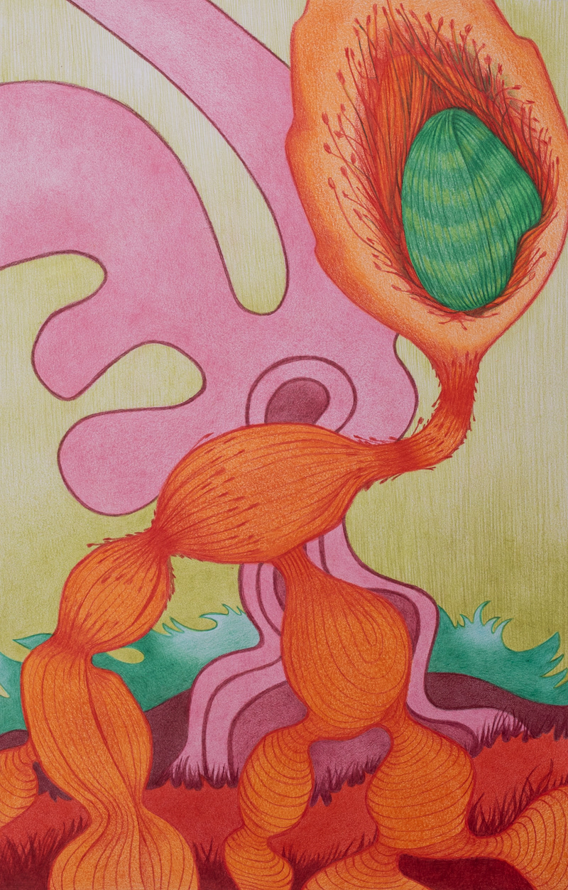 Xeno Botanica nr. 9  35 x 22,5 cm