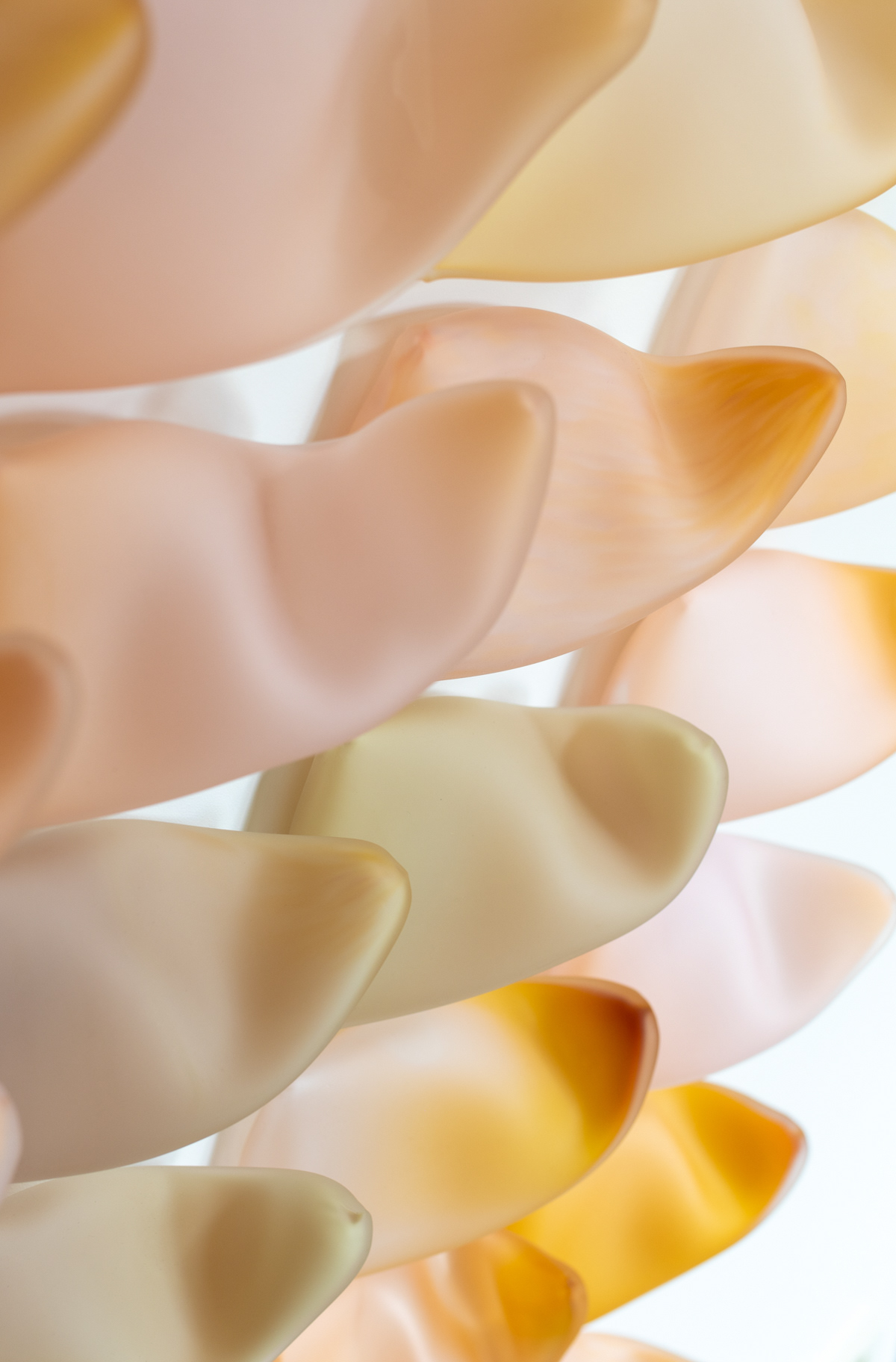 Surge installation Bibi Smit