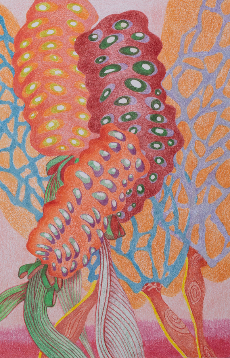 Xeno Botanica nr. 12  35 x 22,5 cm