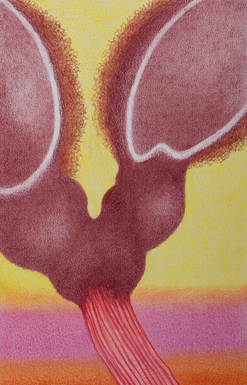 Xeno Botanica nr1  23,5 x 15 cm