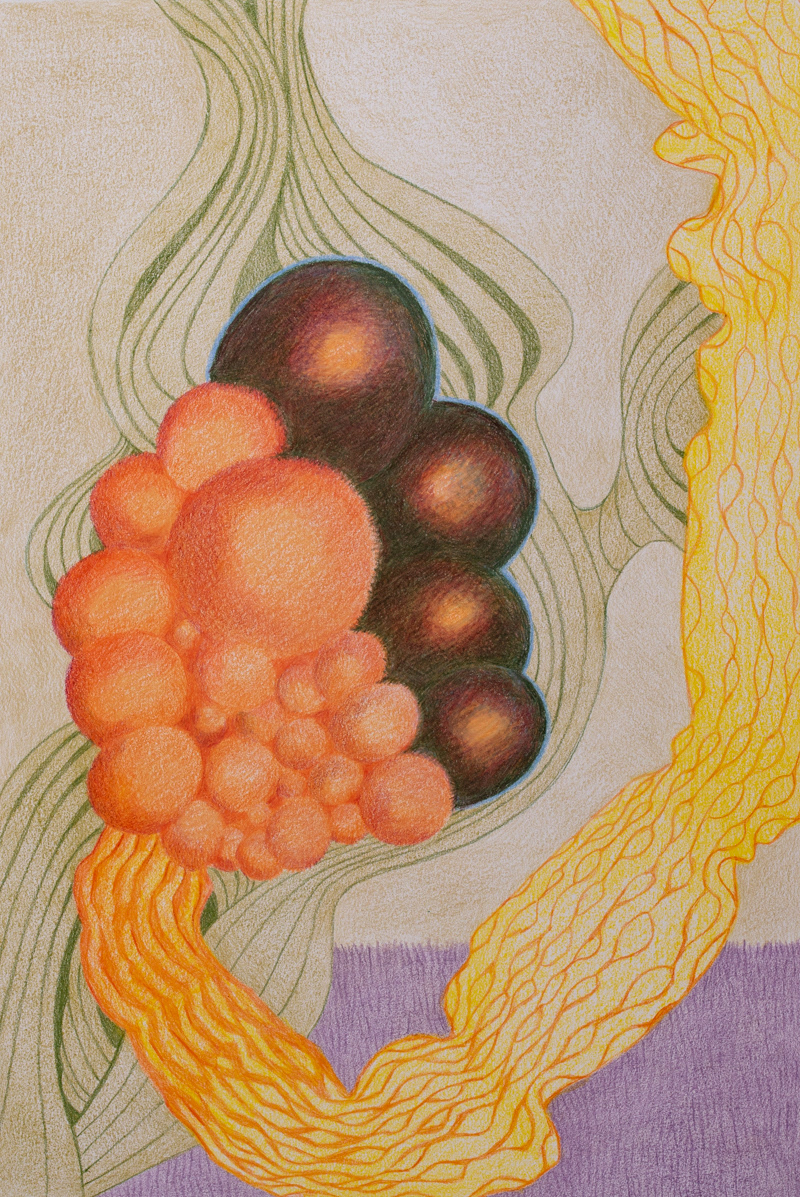 Xeno Botanica nr. 10  38 x 26 cm