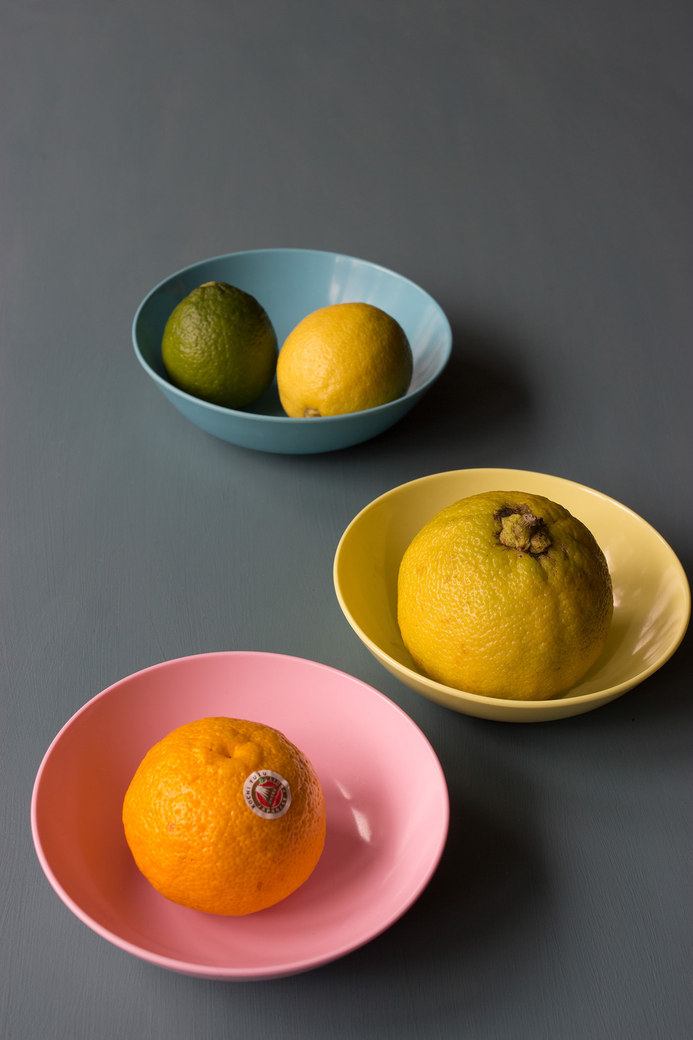 Citrus voor  Sal-t