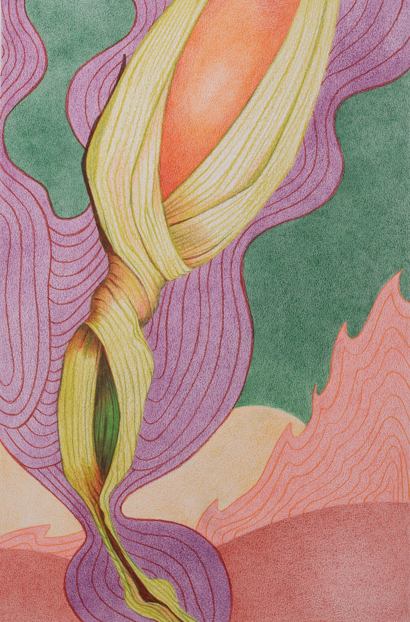 Xeno Botanica nr. 11  35 x 22,5 cm