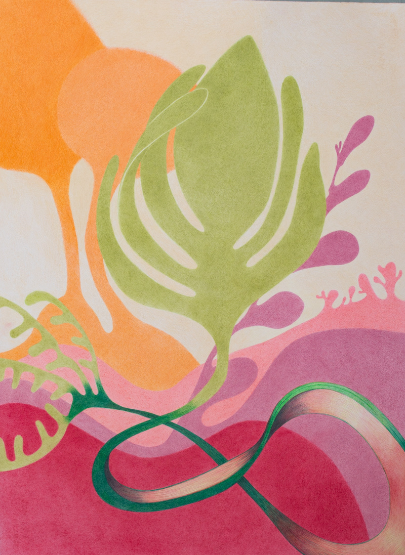 Xeno Botanica nr. 14  76 x 57 cm