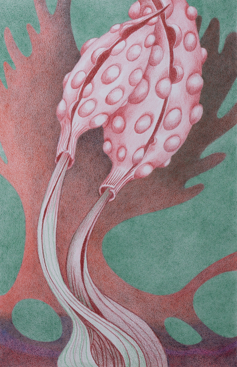 Xeno Botanica nr. 7  35 x 22,5 cm (sold)