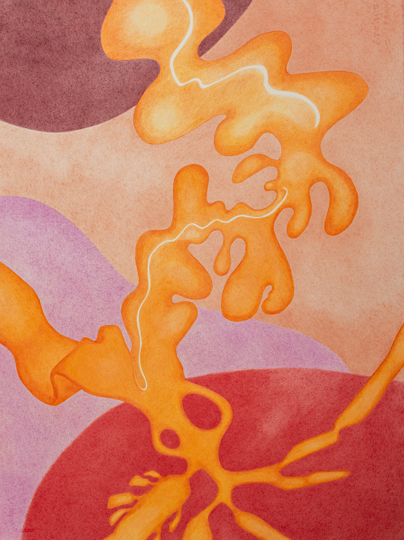 Xeno Botanica nr. 15  76 x 57 cm