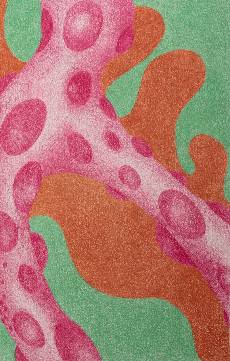 Xeno Botanica nr. 2  23,5 x 15 cm