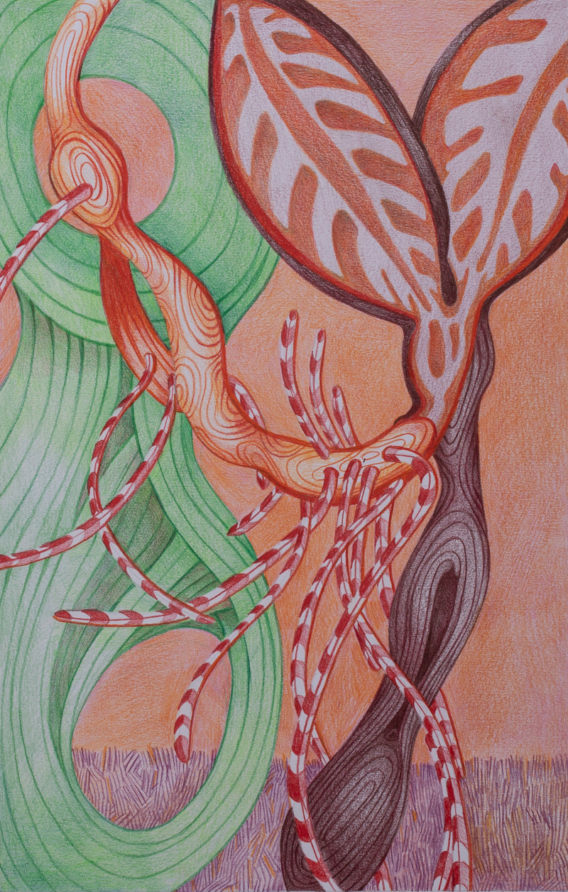 Xeno Botanica nr. 5  35 x 22,5 cm