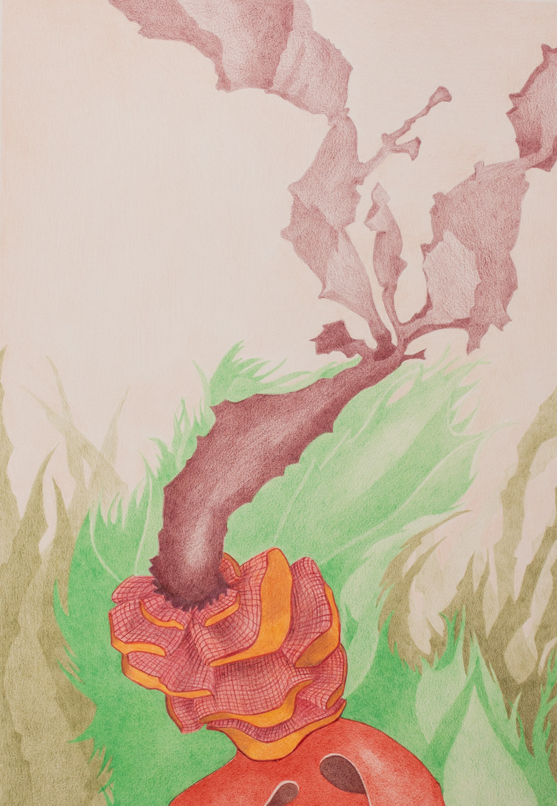 Xeno Botanica nr. 13  45 x 30 cm (sold)