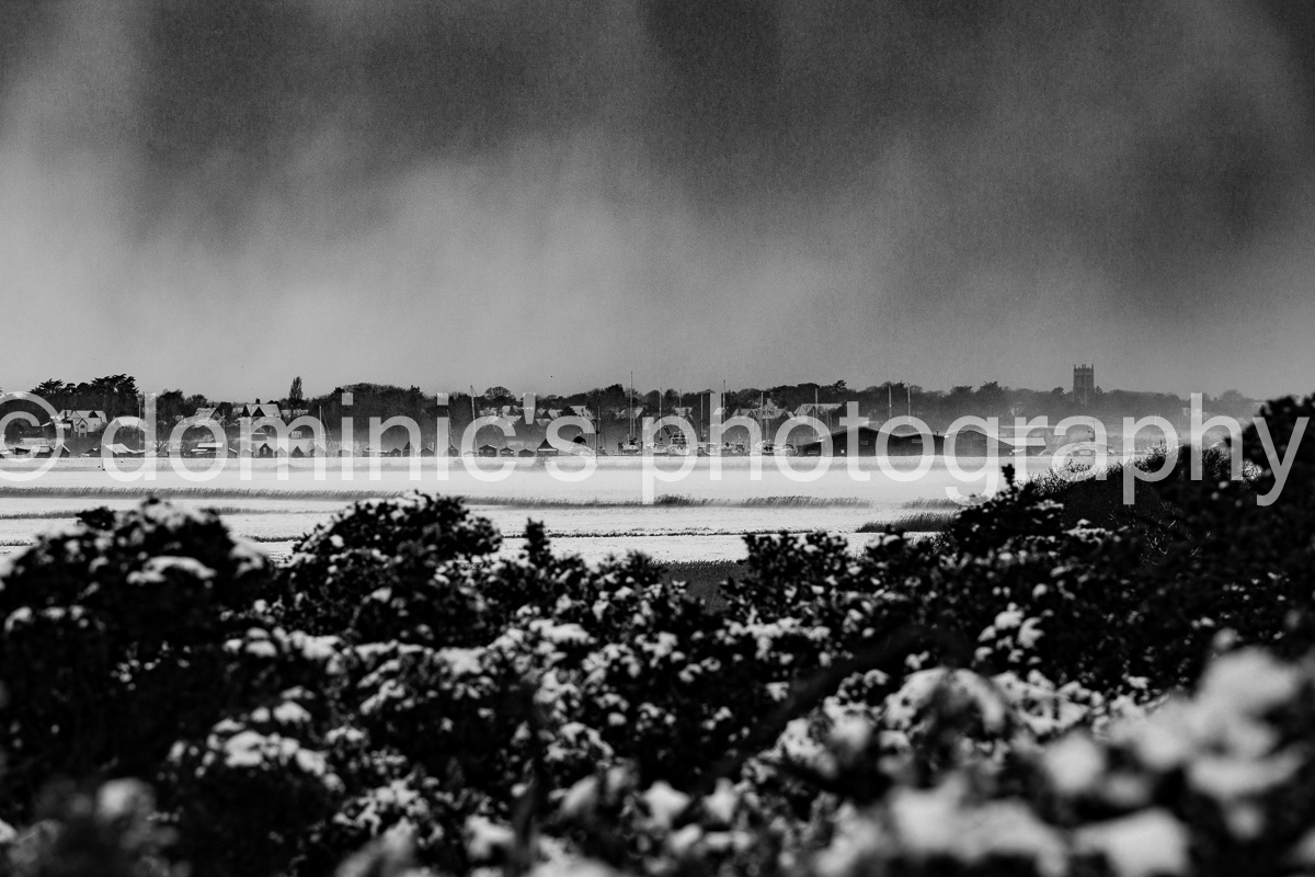 walberswick view bw