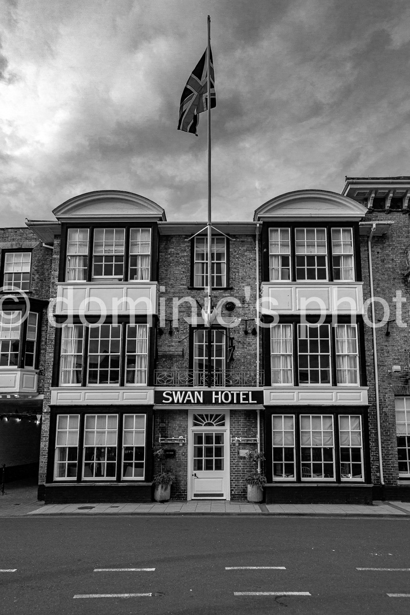 swan bw