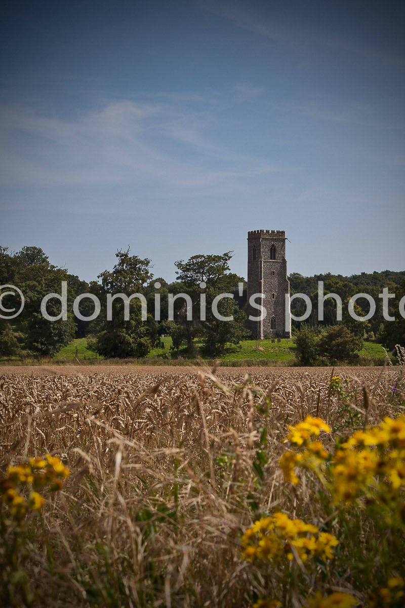 henstead 2