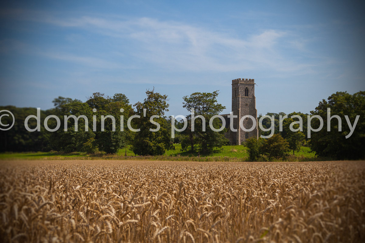 henstead