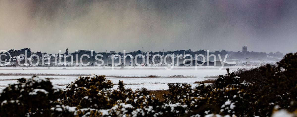 walberswick view long