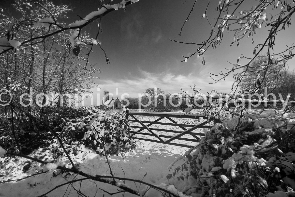 Suffolk winter