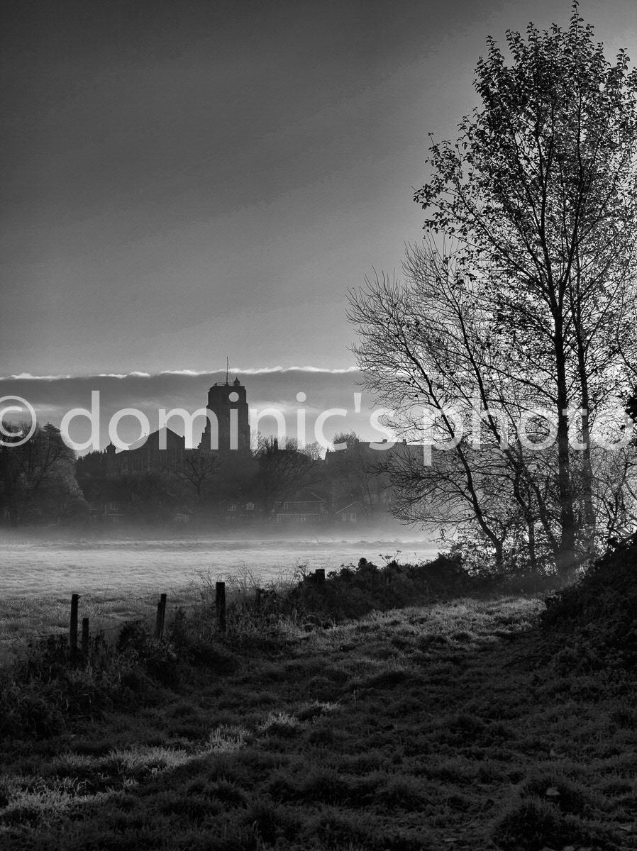 beccles frost bw