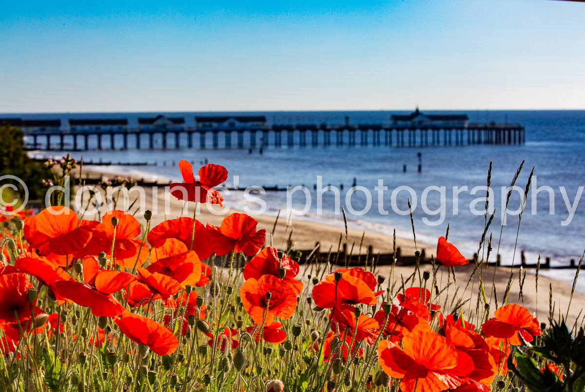 poppy pier