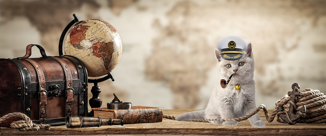 Captain Kitty