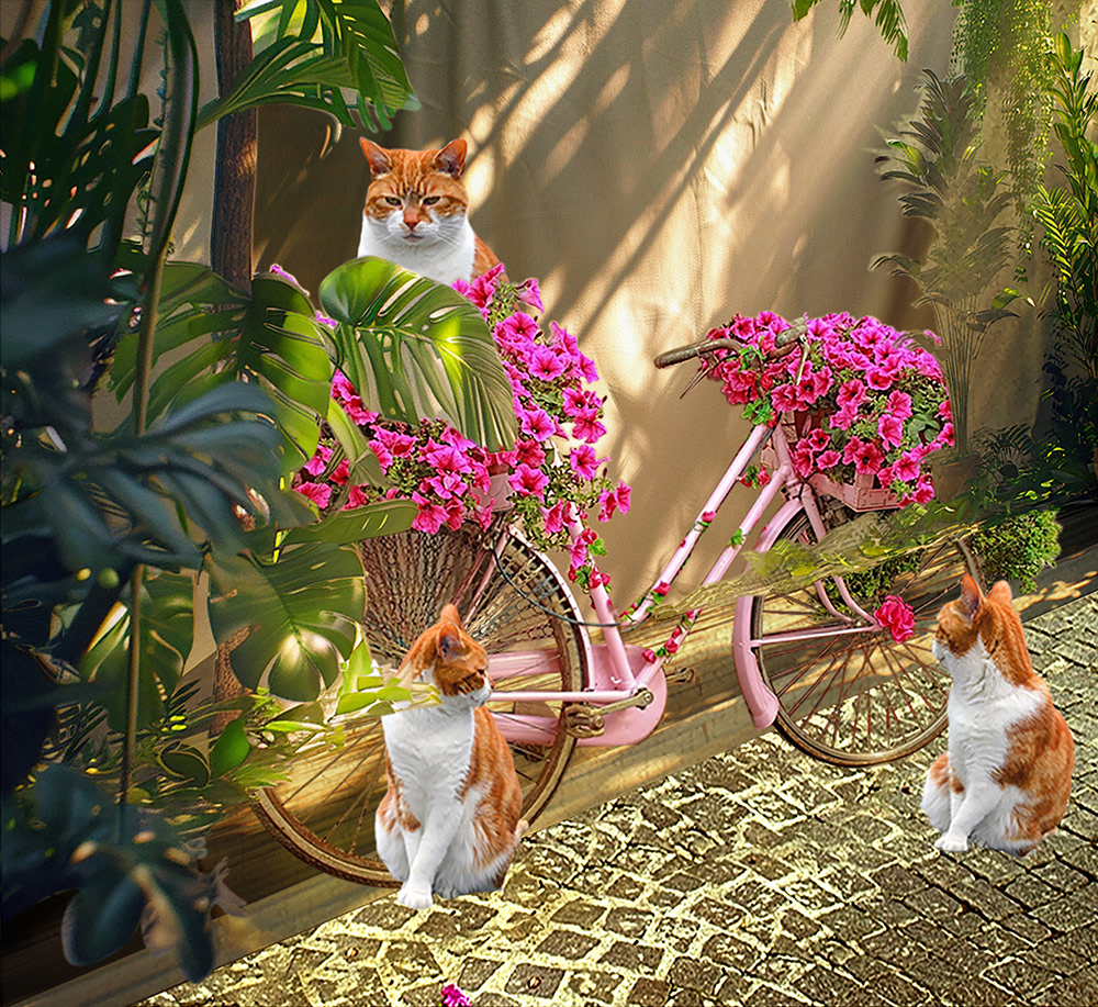 Bicycle Kitty
