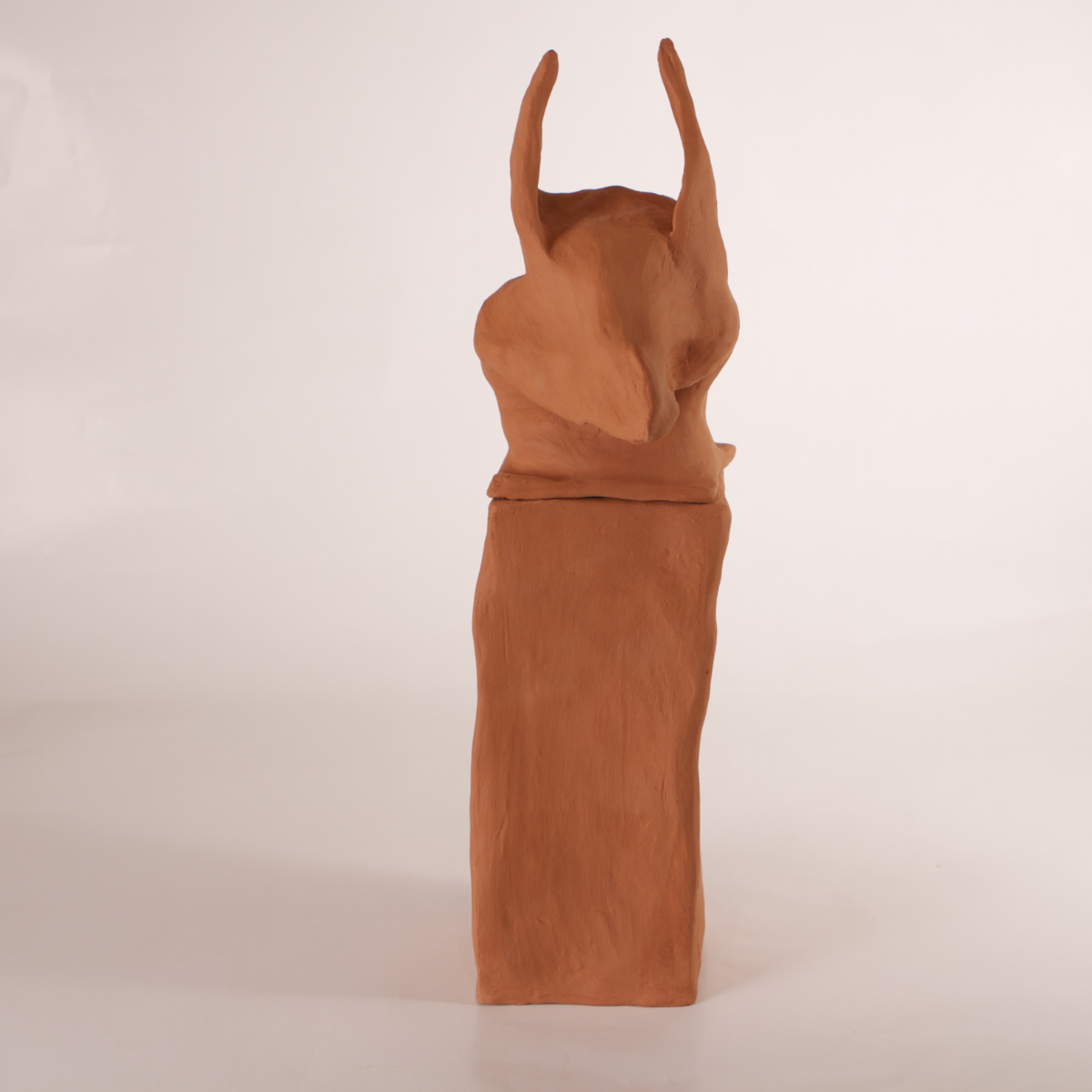 Jar Anubis 2014