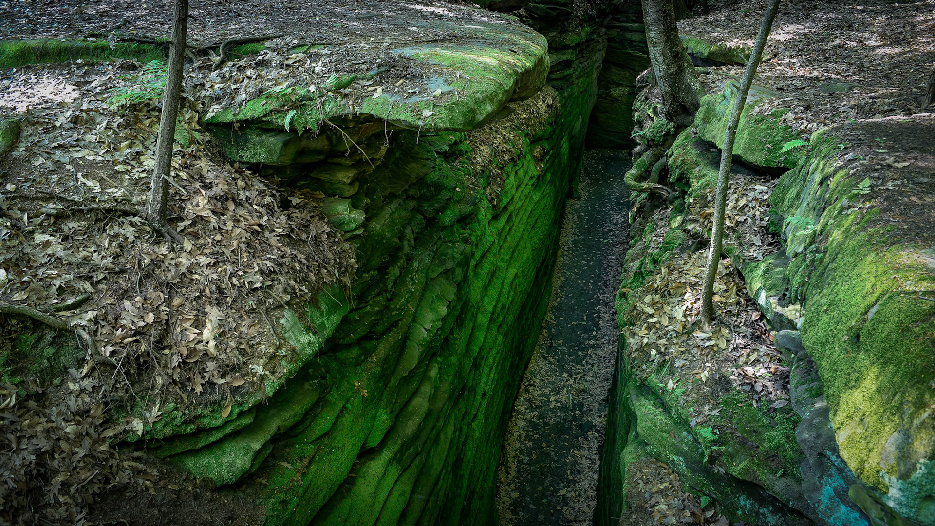 Cuyahoga Falls 3