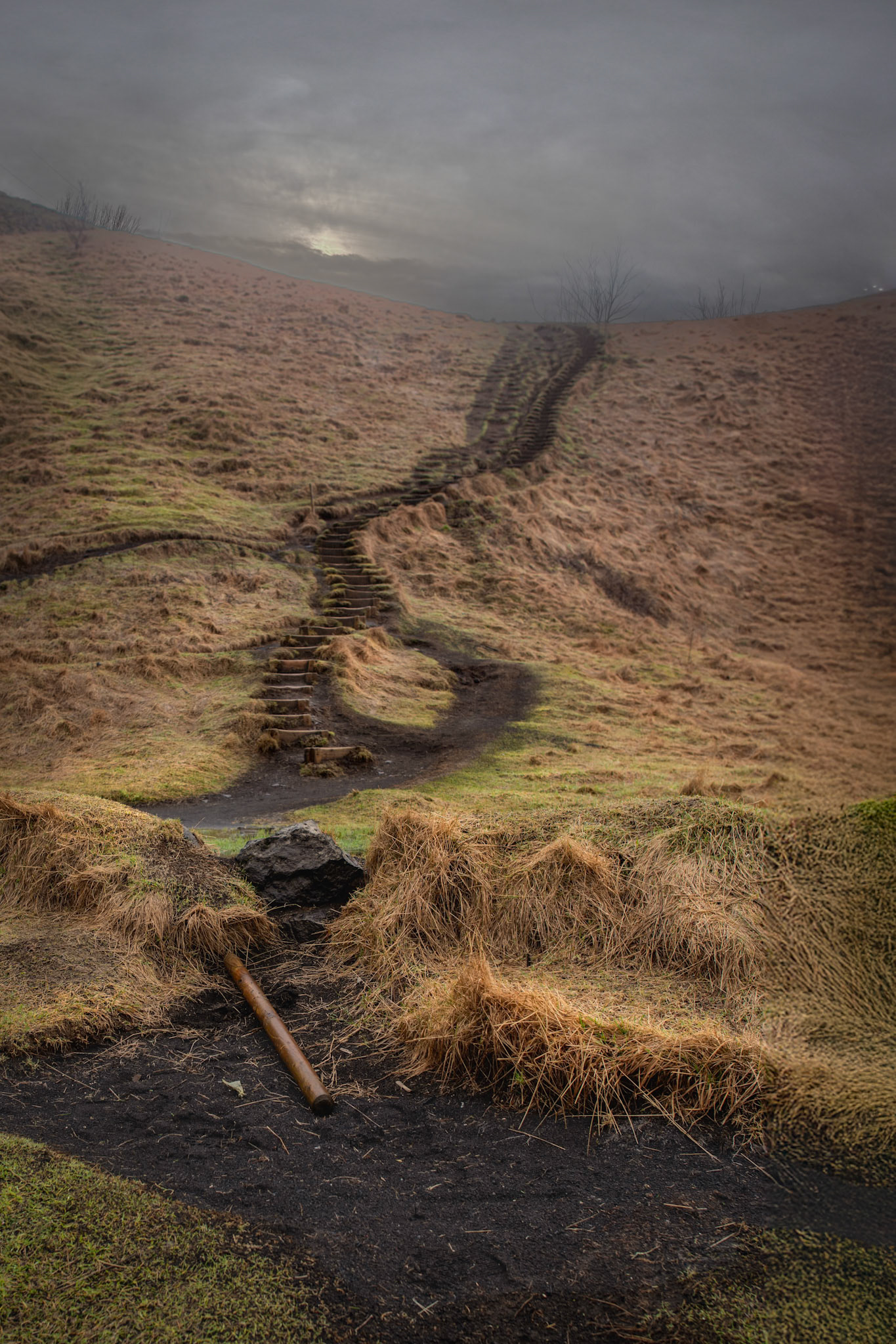 Iceland Path