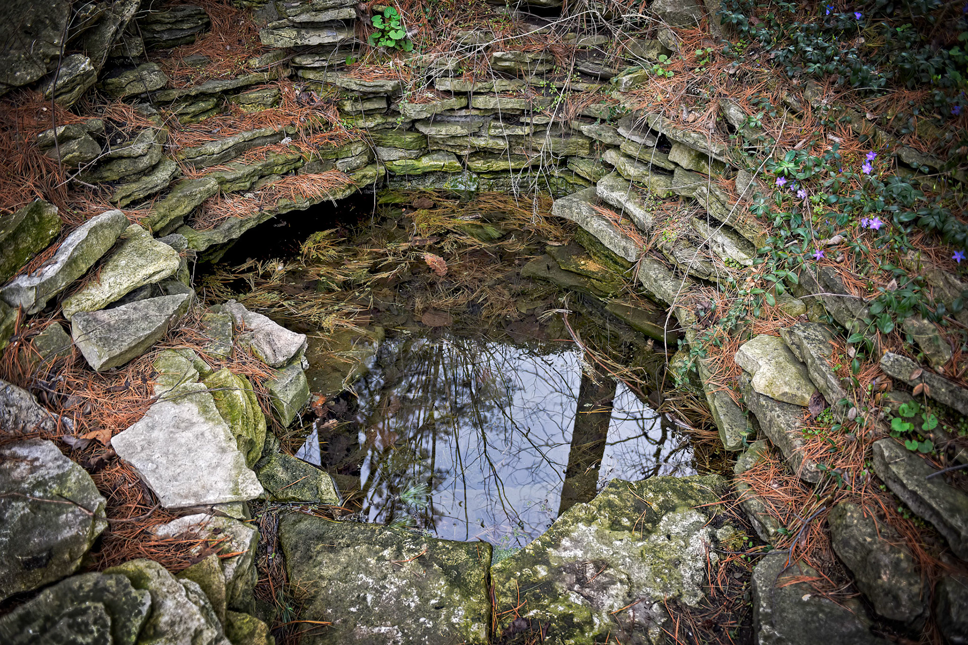 Henry Ford Estate 2