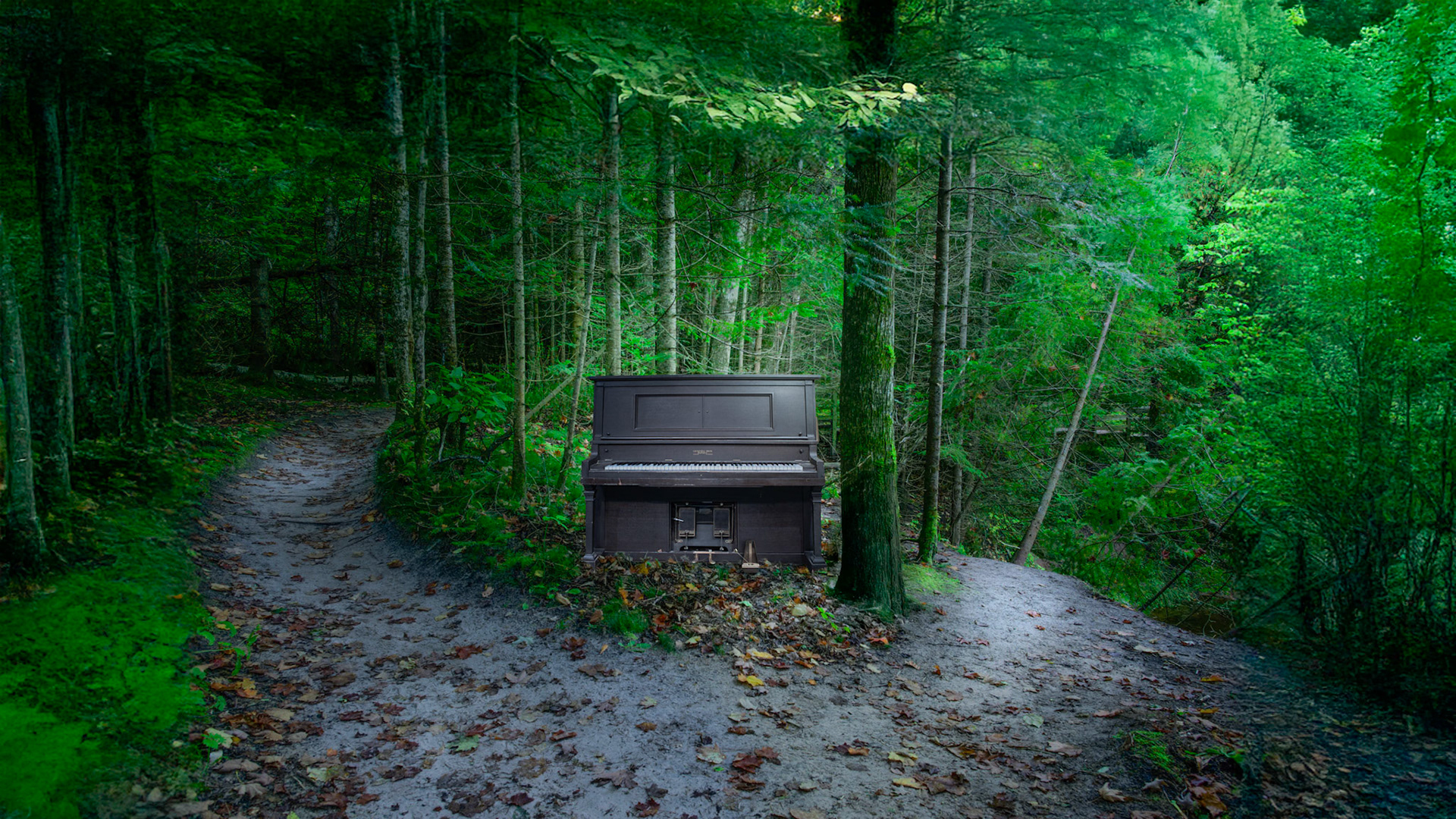 Chopin's Dream