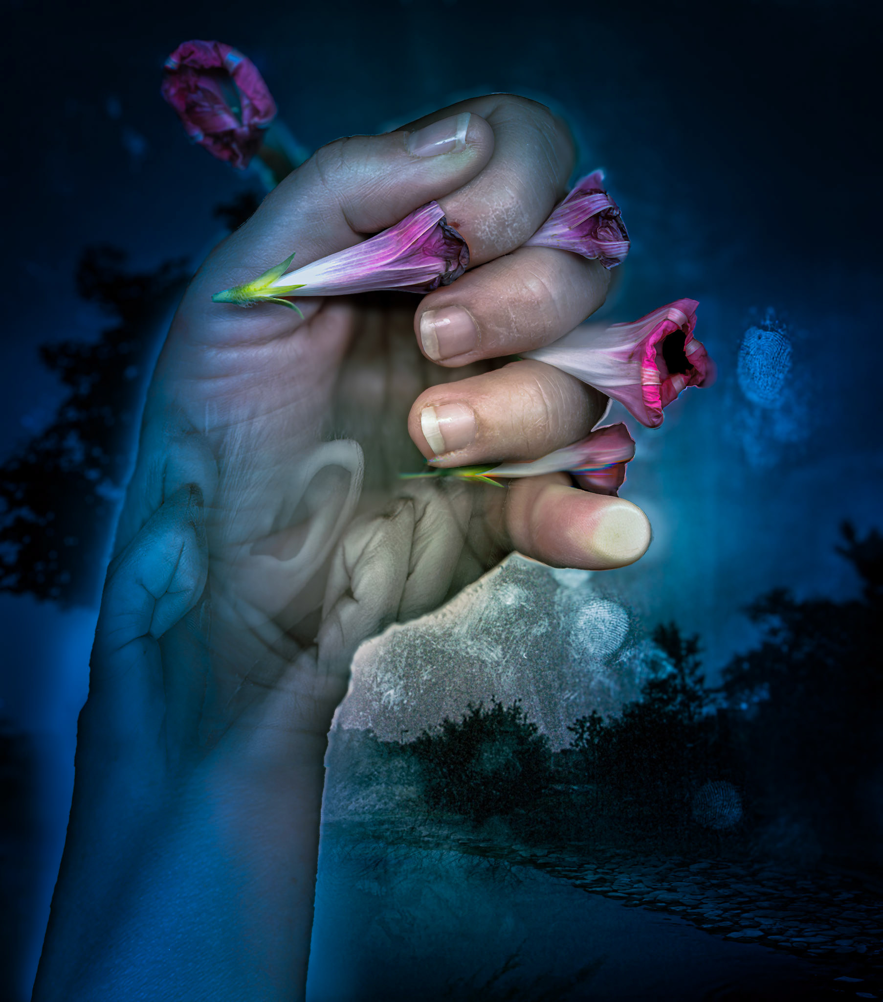 Finger Prints