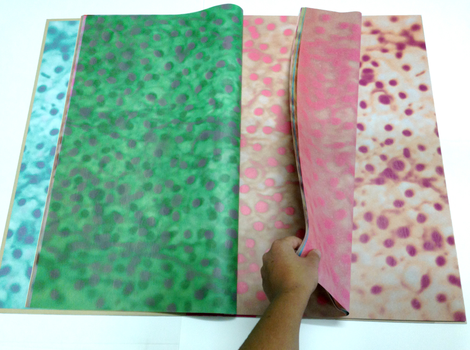 Behind All Your Borders (2014), lithograph printed on tissue paper in duo-tone / cover : fabric mounted on board / unique, 80 x 60 cm / there are about 300 prints in the book
