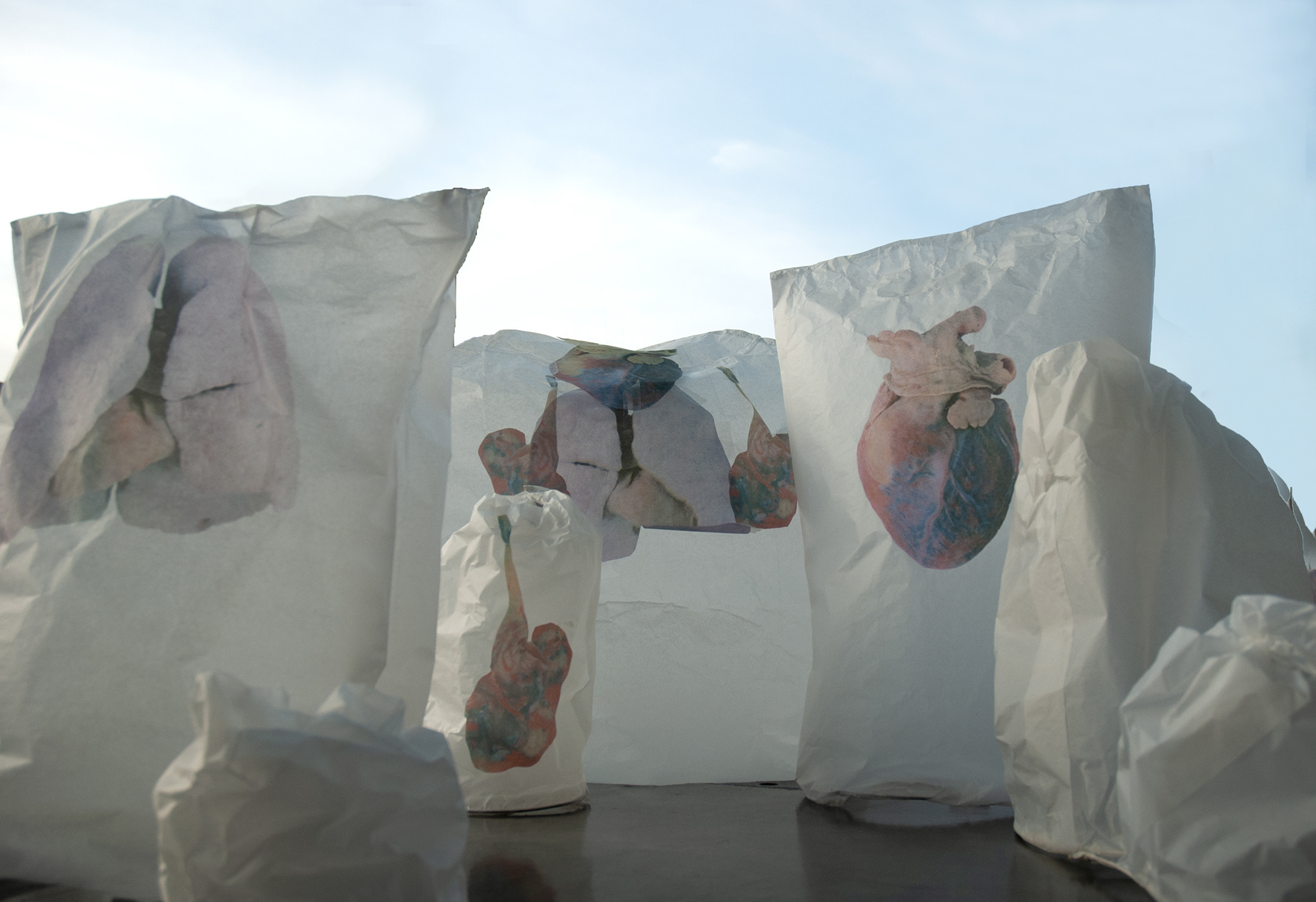 Flying organs (2012), Screenprints and collage on tissue paper, flying lanterns