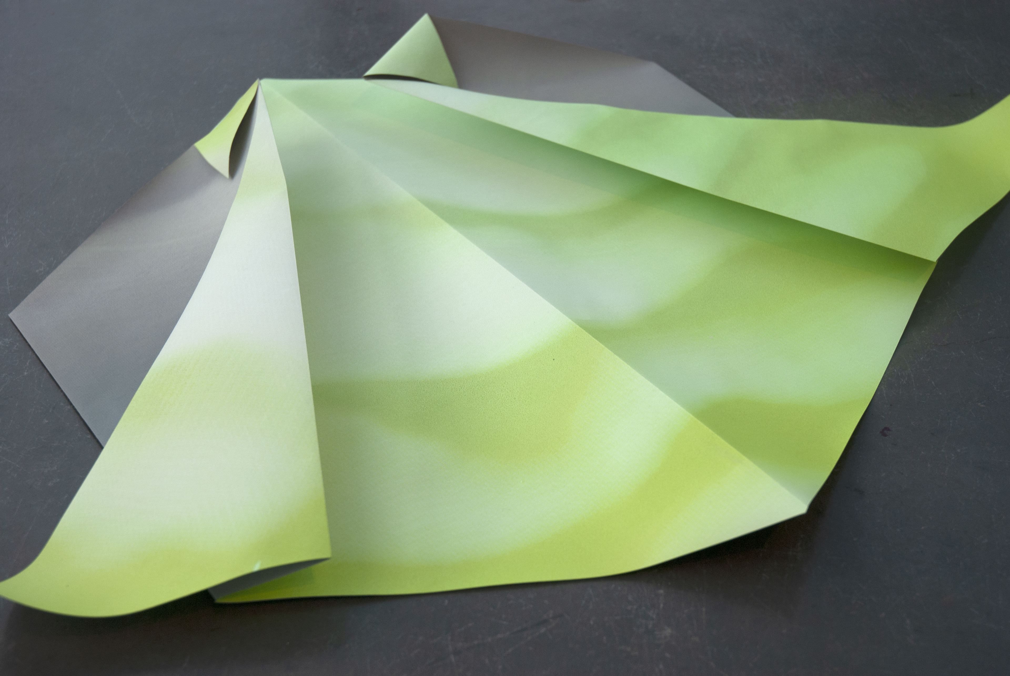Alive (2011), Screenprint on paper, unique, Royal College Of Art