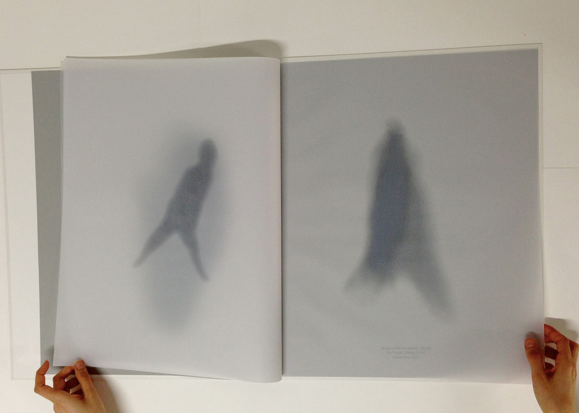 J'aimerais effacer tes bords (2013)