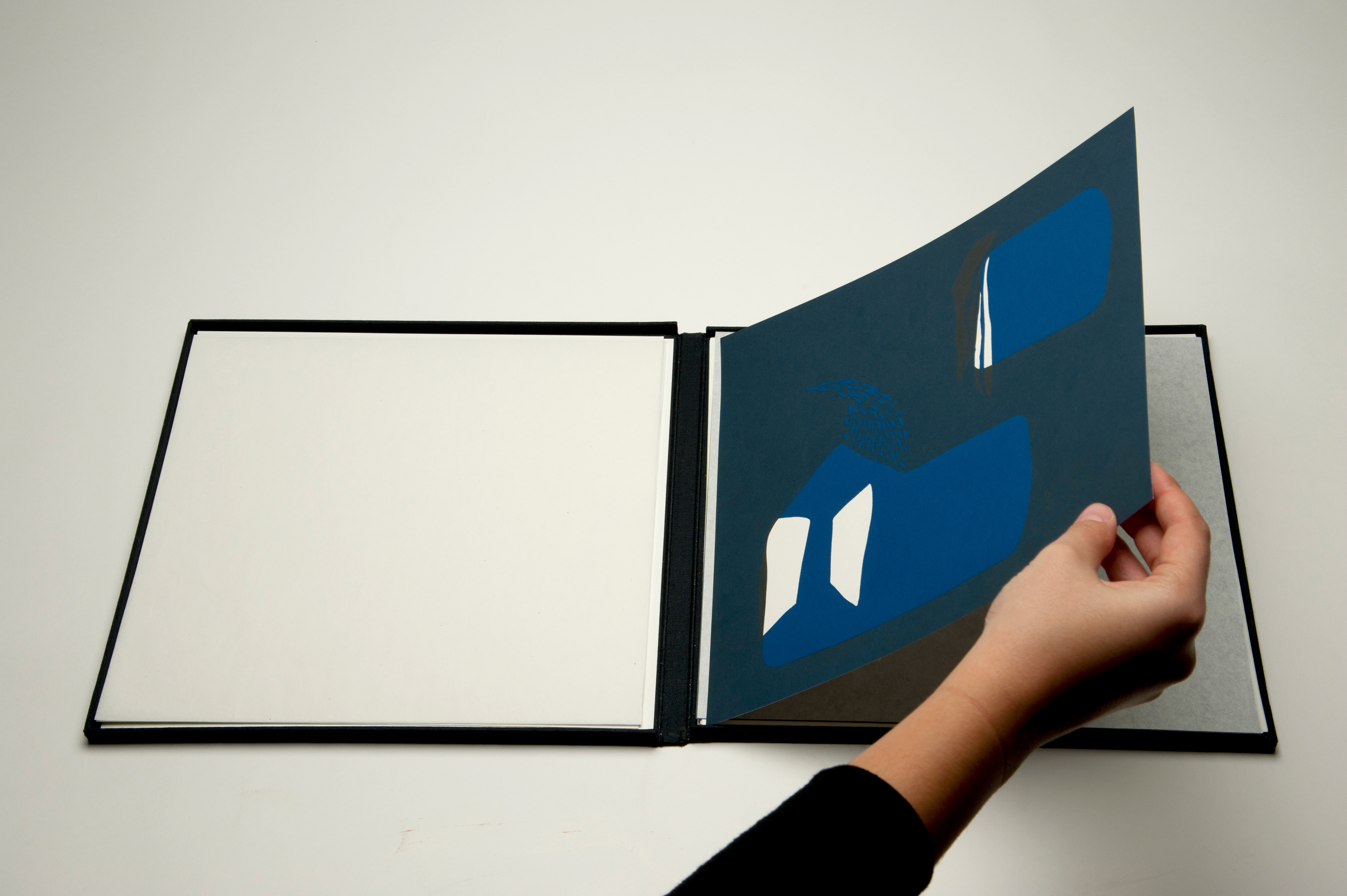 L'arbre (2012), 8 woodblock prints on Rivoli paper / box : fabric mounted on board / Poem by Ambroise Bucher / edition of 7 boxes, 28 x 30 cm