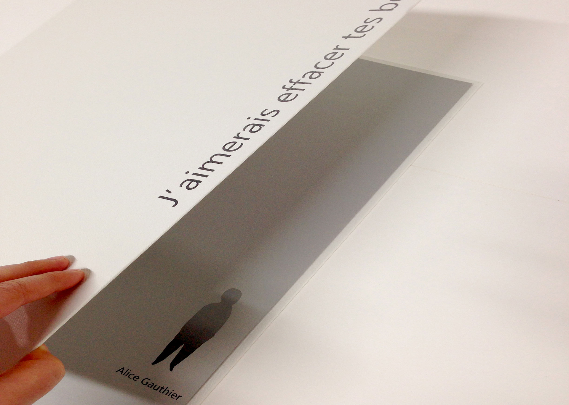 J'aimerais effacer tes bords (2013)