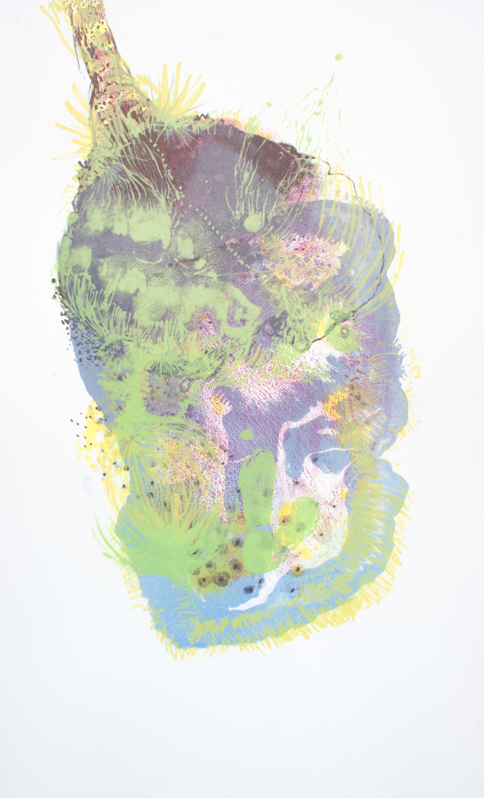 Hold On, Let Me See (2014) - Lithographie sur pierre - Edition variable, toutes uniques - 70 x 45 cm