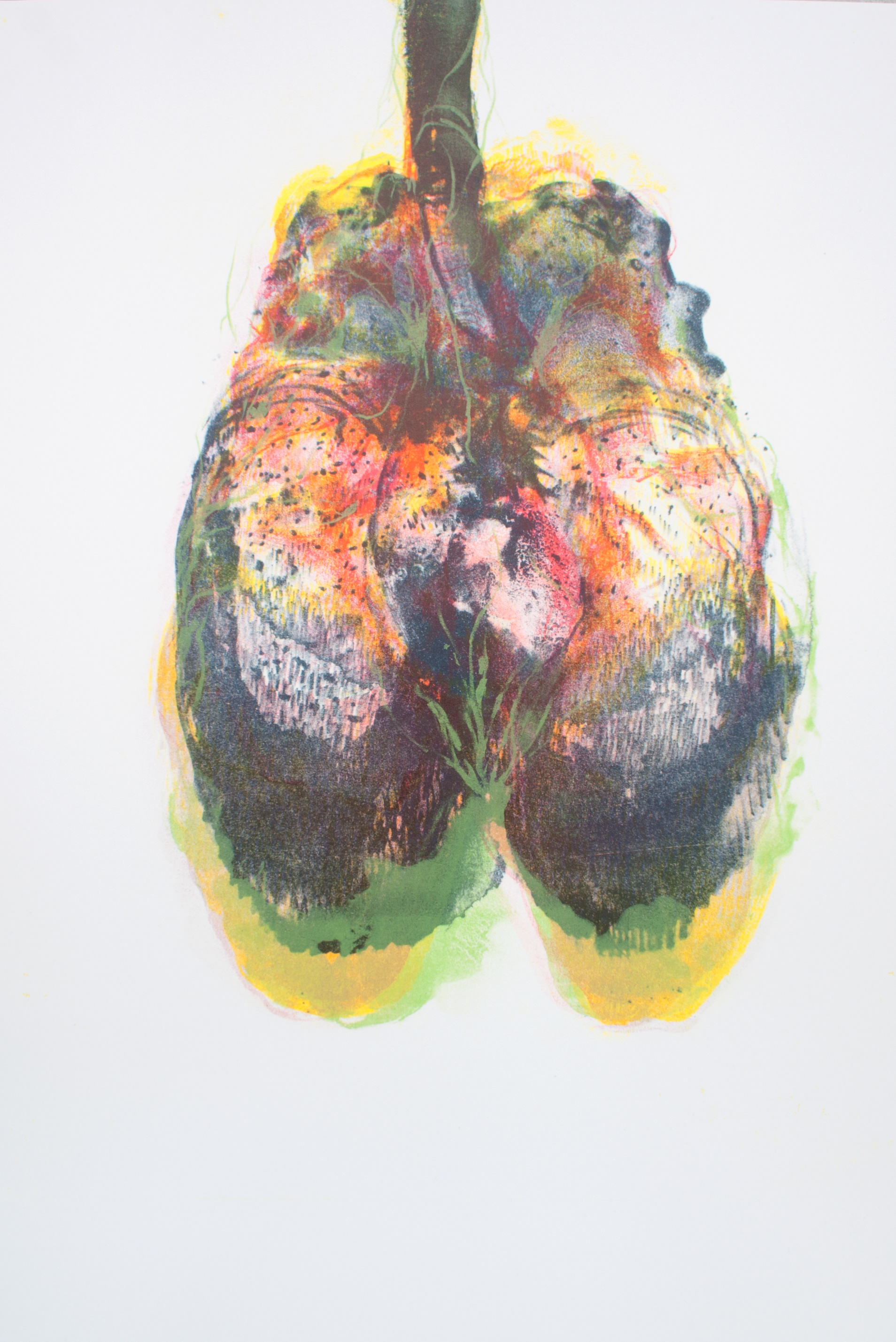 Hold On, Let Me See (2014) - Lithographie sur pierre - Edition variable, toutes uniques - 70 x 45 cm