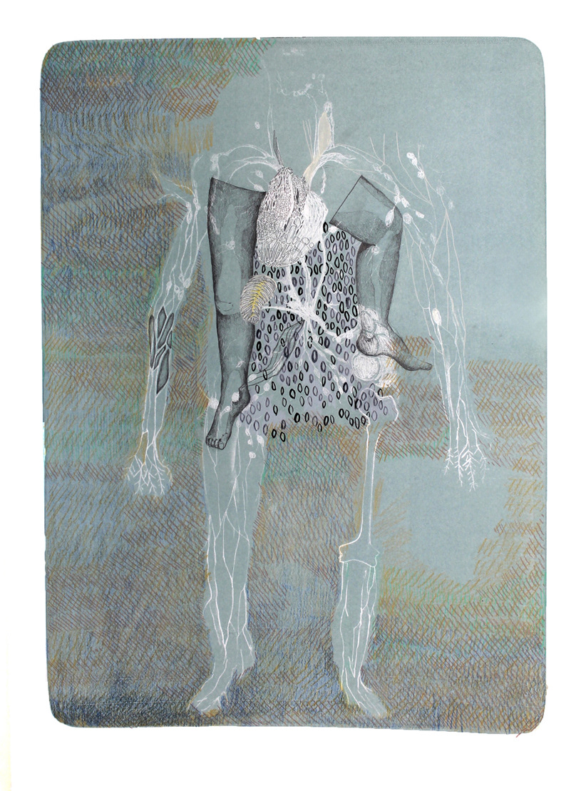 Could You Come With Me ? I (2016) - Lithorgaphie sur pierre et dessin à la mine de plomb et crayons - 85 x 63 cm