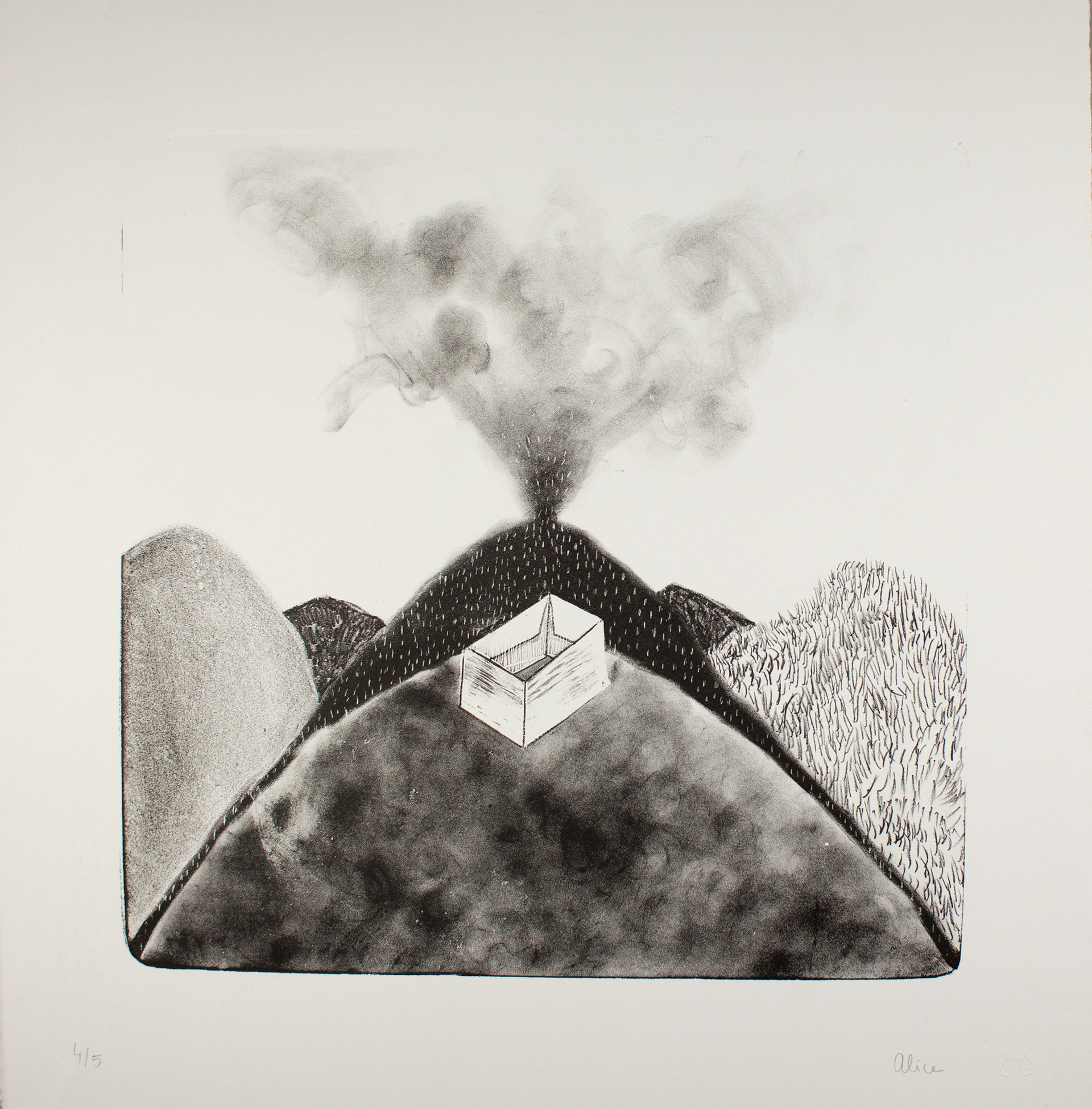 I Think It Fits (2015) - Lithographie sur pierre - Edition de 5 - 40 x 40 cm