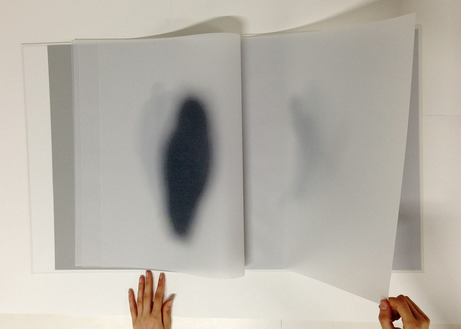 J'aimerais effacer tes bords (2013)