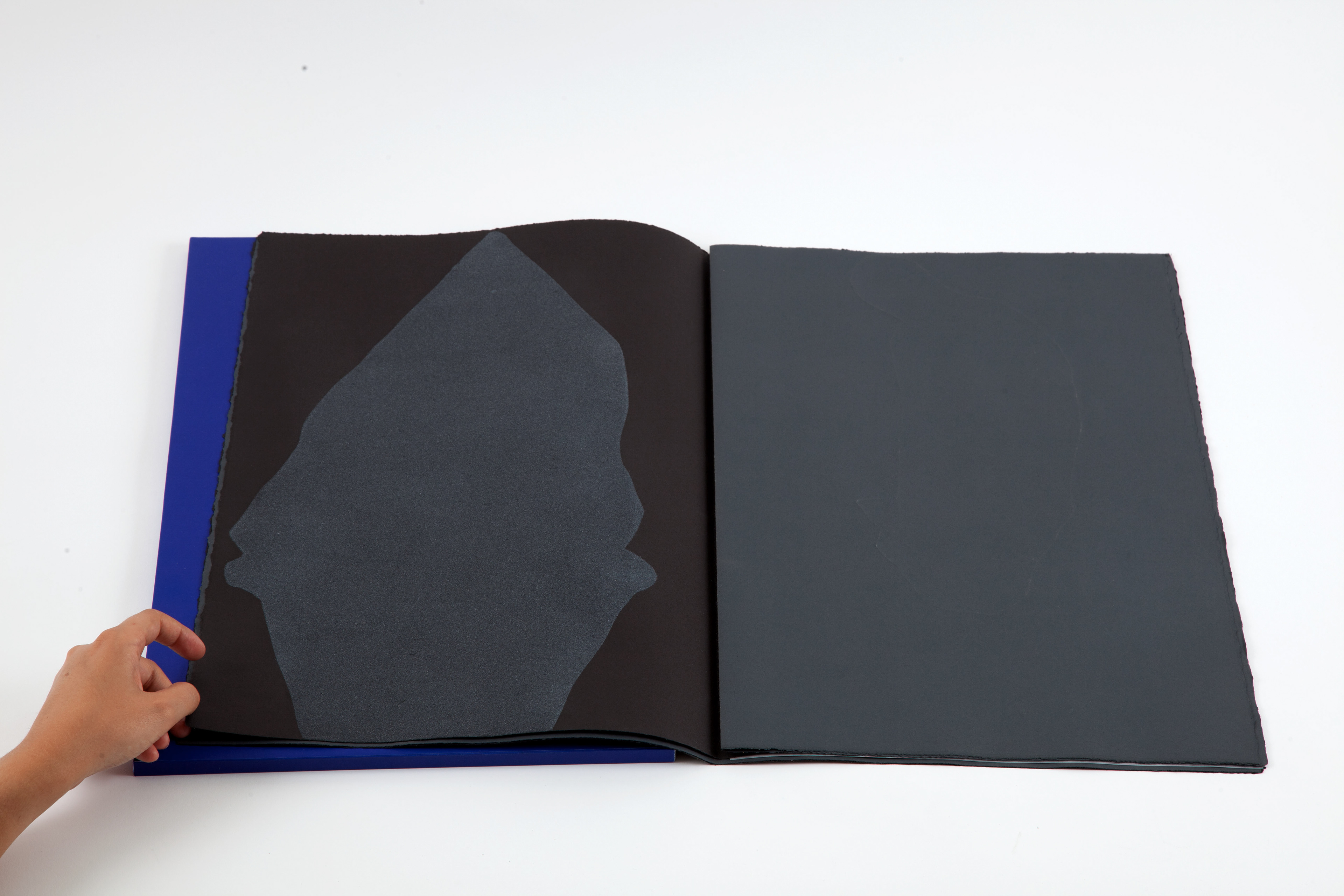 Mon ombre brille, pas la tienne (2012)