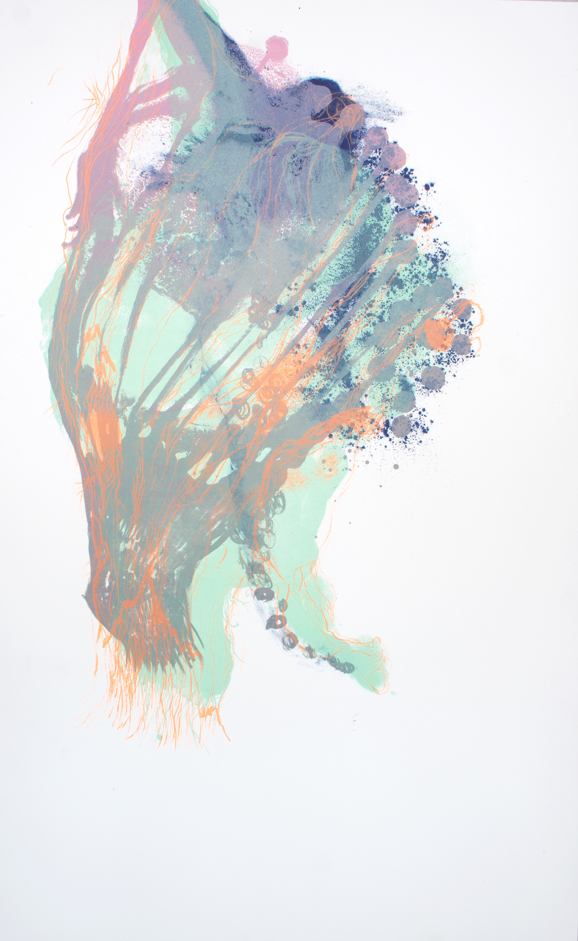 Hold On, Let Me See (2014) - Lithographie sur pierre - Edition variable, toutes uniques - 70 x 45 cm