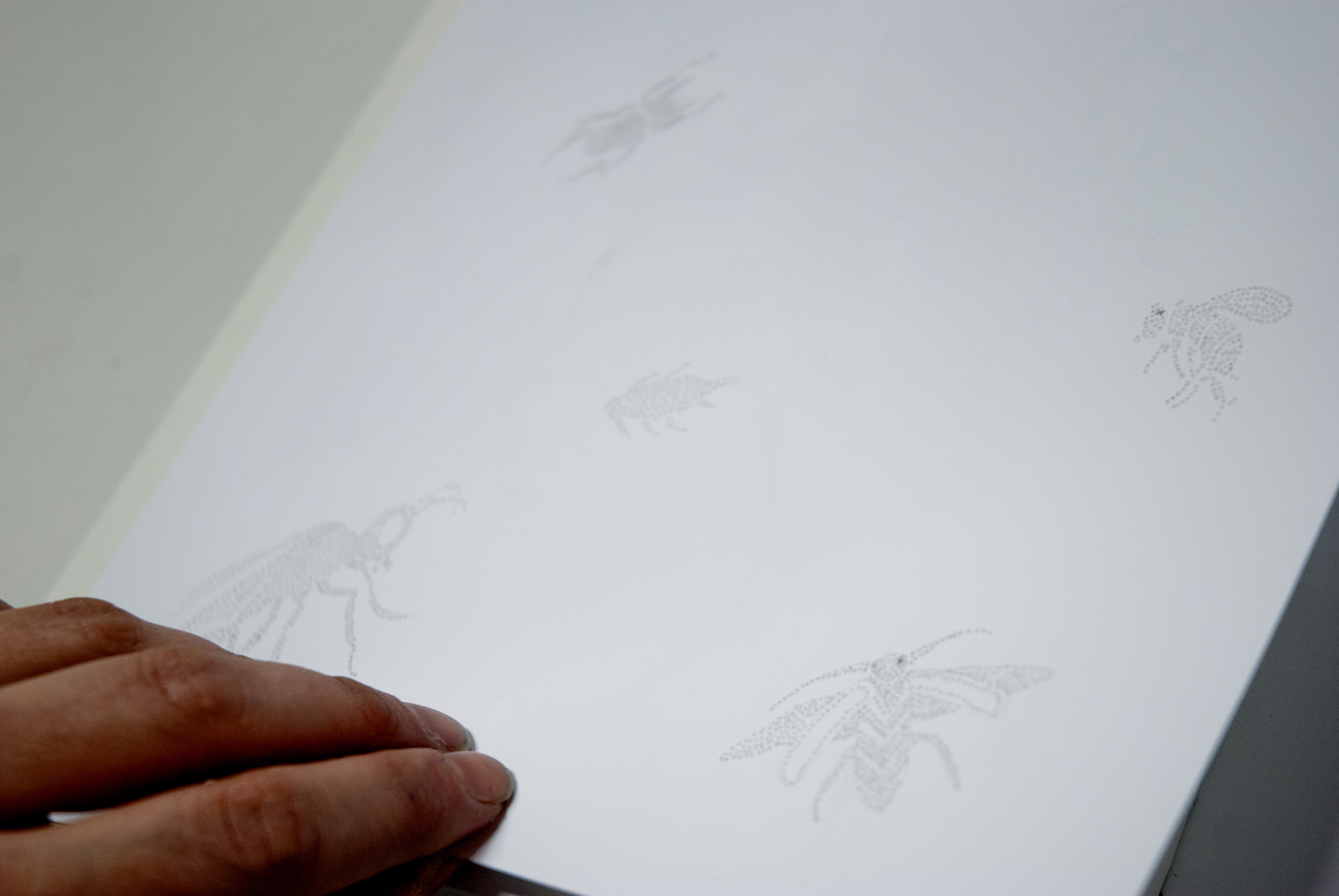 Livre fou (2013)
