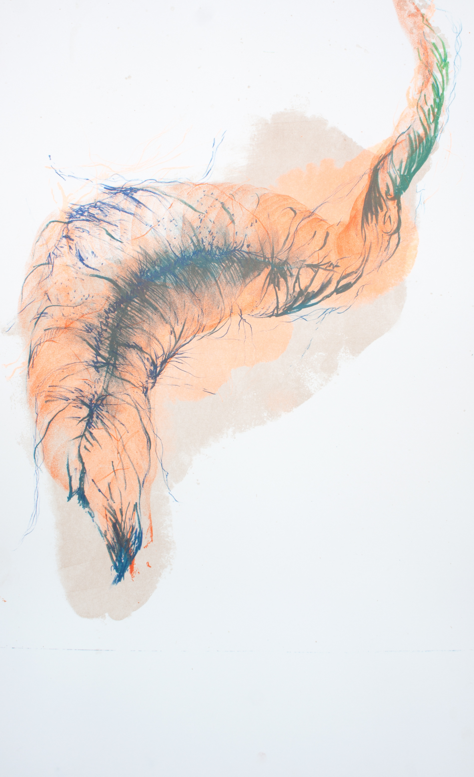 Hold On, Let Me See (2014) - Lithographie sur pierre - Edition variable, toutes uniques - 70 x 45 cm