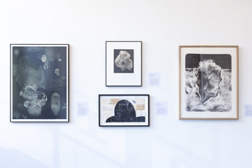Forms of Enclosure (2019), Group Show, International Print Center of New York, US